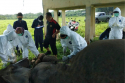 Gambar 2. Tim melakukan nekropsi