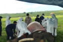 Gambar 3. Tim melakukan nekropsi